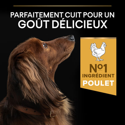 Pro Plan Everyday Nutrition Small &amp; Mini Adult au poulet - croquettes chien
