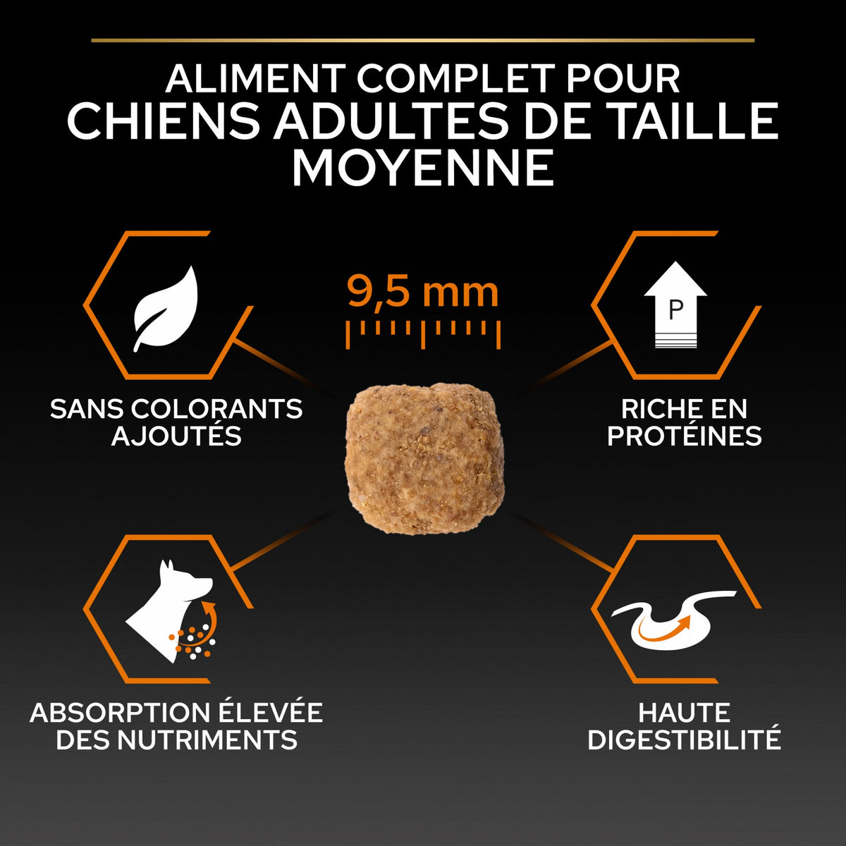 Pro Plan Everyday Nutrition Small &amp; Mini Adult au poulet - croquettes chien