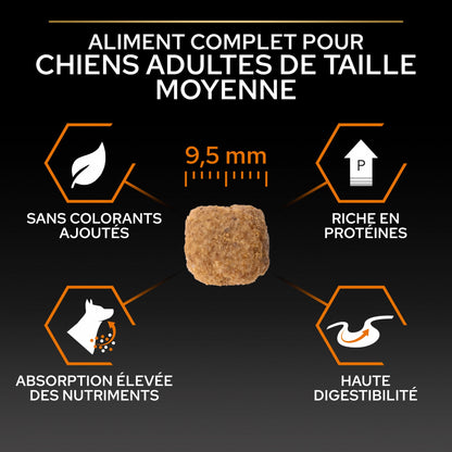 Pro Plan Everyday Nutrition Small &amp; Mini Adult au poulet - croquettes chien