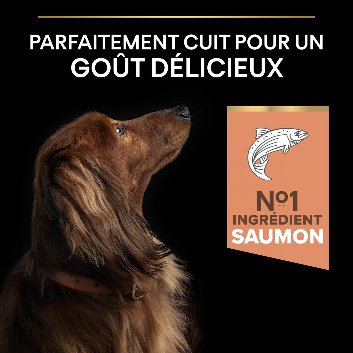 Pro Plan Sensitive Skin Small &amp; Mini Adult au saumon - croquettes chien