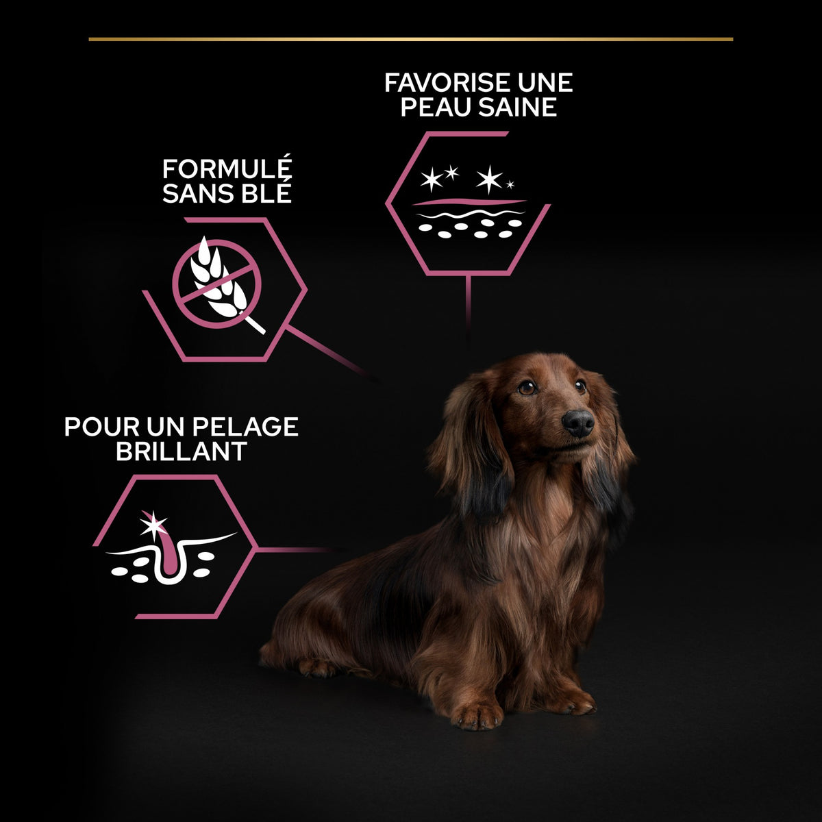 Pro Plan Sensitive Skin Small &amp; Mini Adult au saumon - croquettes chien