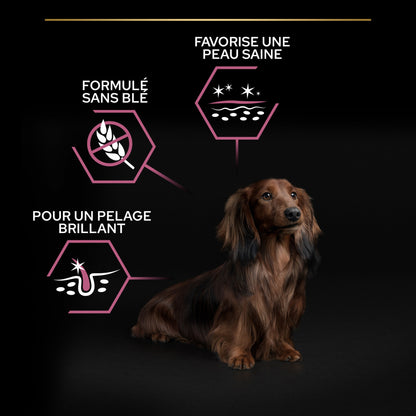 Pro Plan Sensitive Skin Small &amp; Mini Adult au saumon - croquettes chien