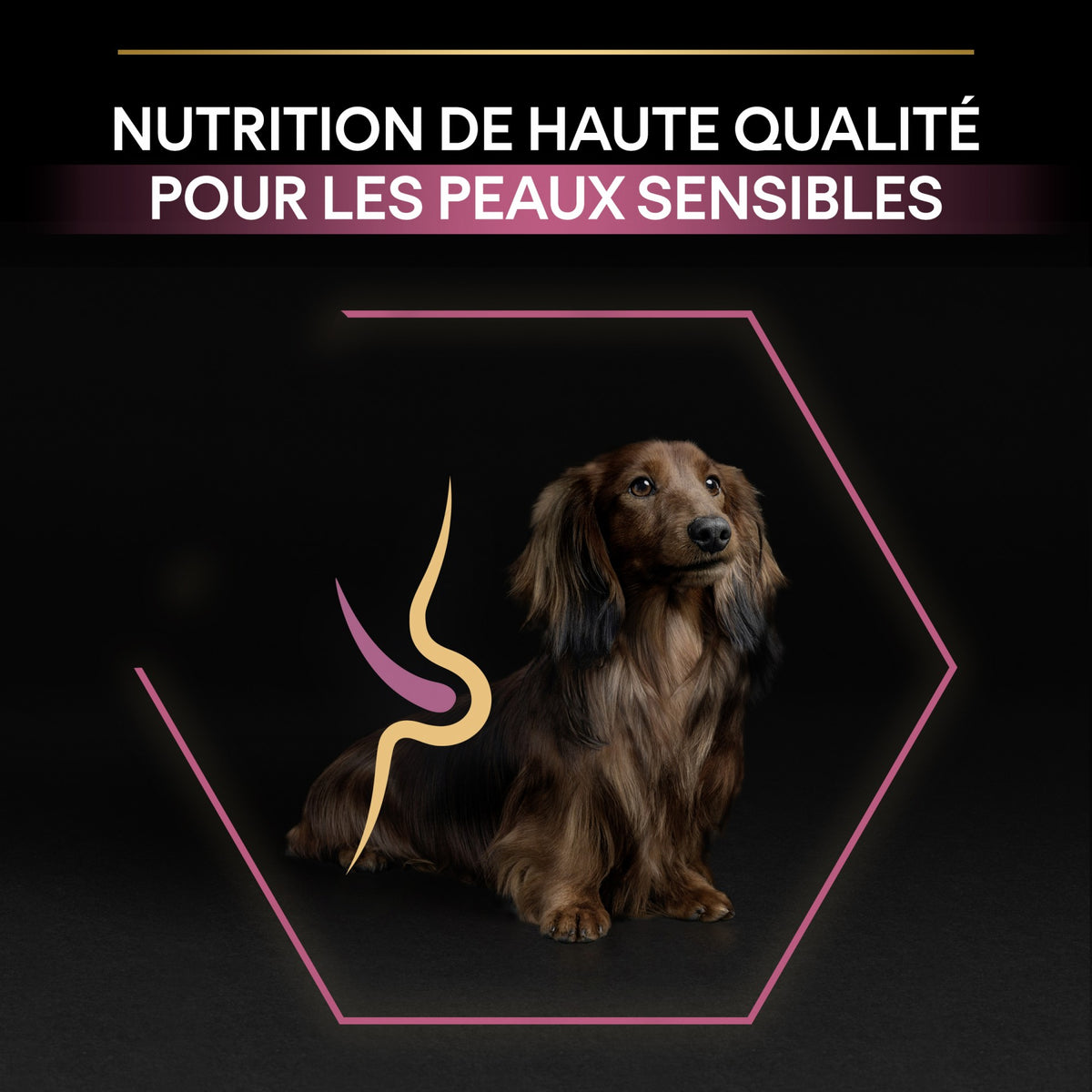 Pro Plan Sensitive Skin Small &amp; Mini Adult au saumon - croquettes chien