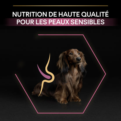 Pro Plan Sensitive Skin Small &amp; Mini Adult au saumon - croquettes chien