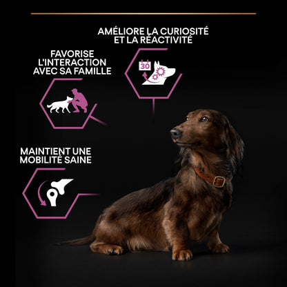 Pro Plan Age Defence Small &amp; Mini Adult au poulet - croquettes chien