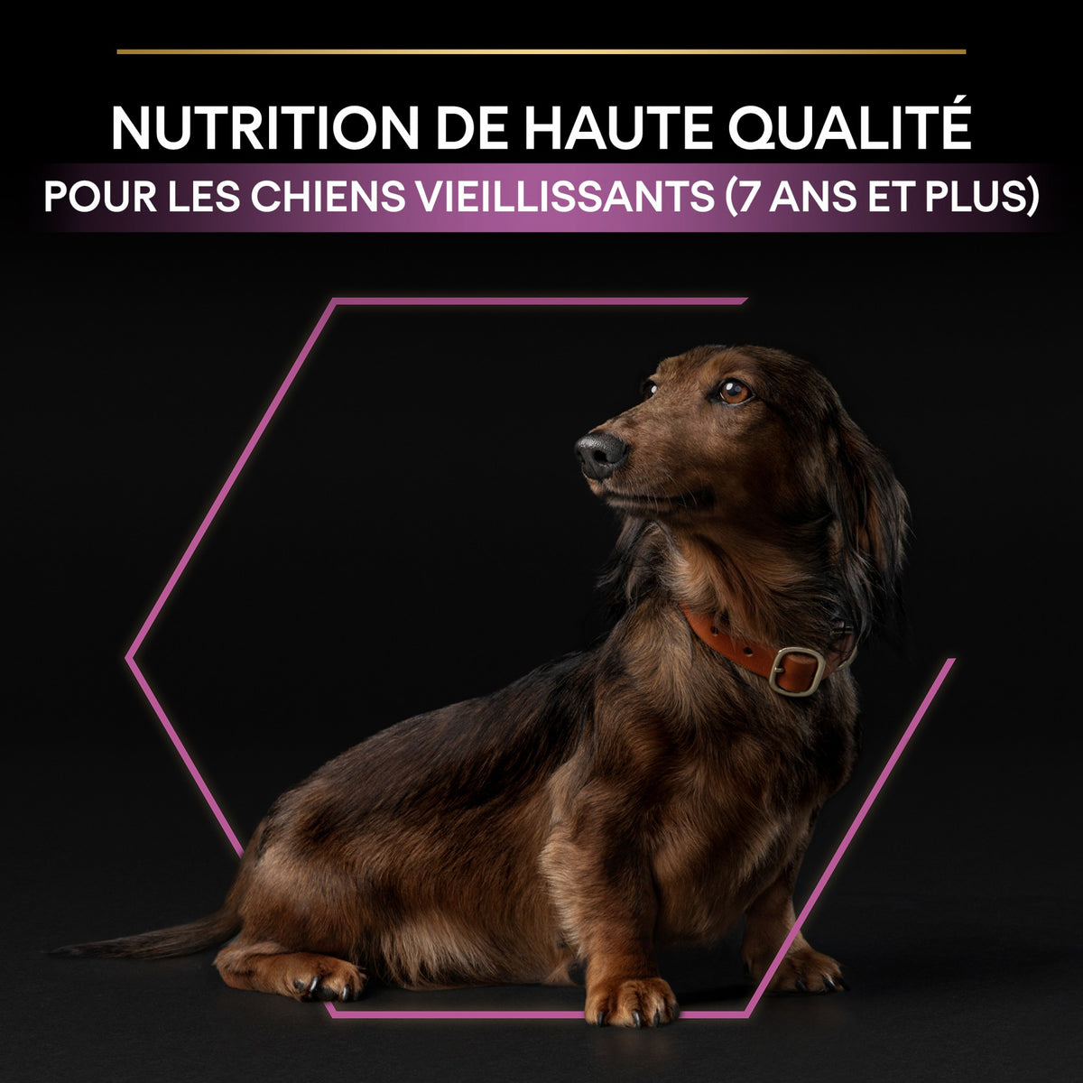 Pro Plan Age Defence Small &amp; Mini Adult au poulet - croquettes chien