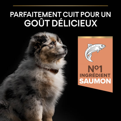 PRO PLAN Sensitive Skin Medium Puppy au Saumon - Croquettes pour chien