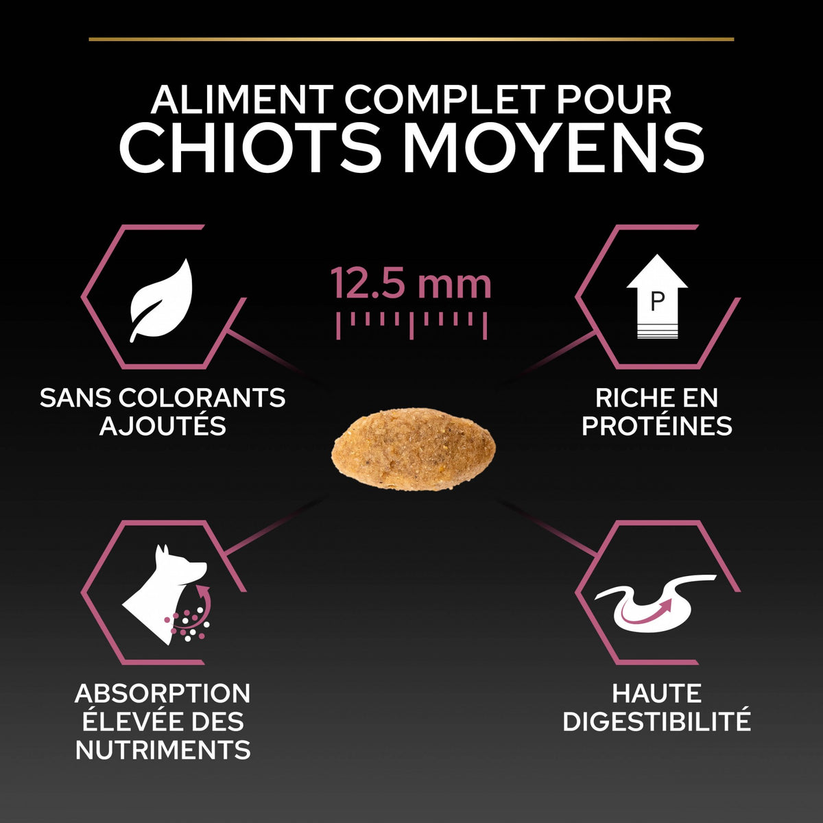 PRO PLAN Sensitive Skin Medium Puppy au Saumon - Croquettes pour chien