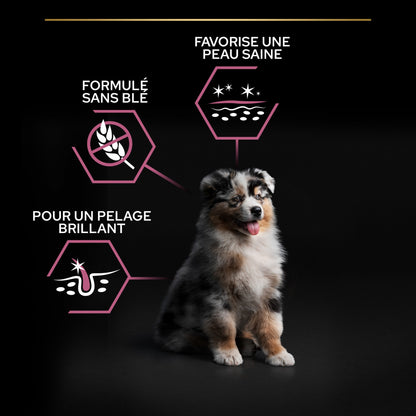 PRO PLAN Sensitive Skin Medium Puppy au Saumon - Croquettes pour chien