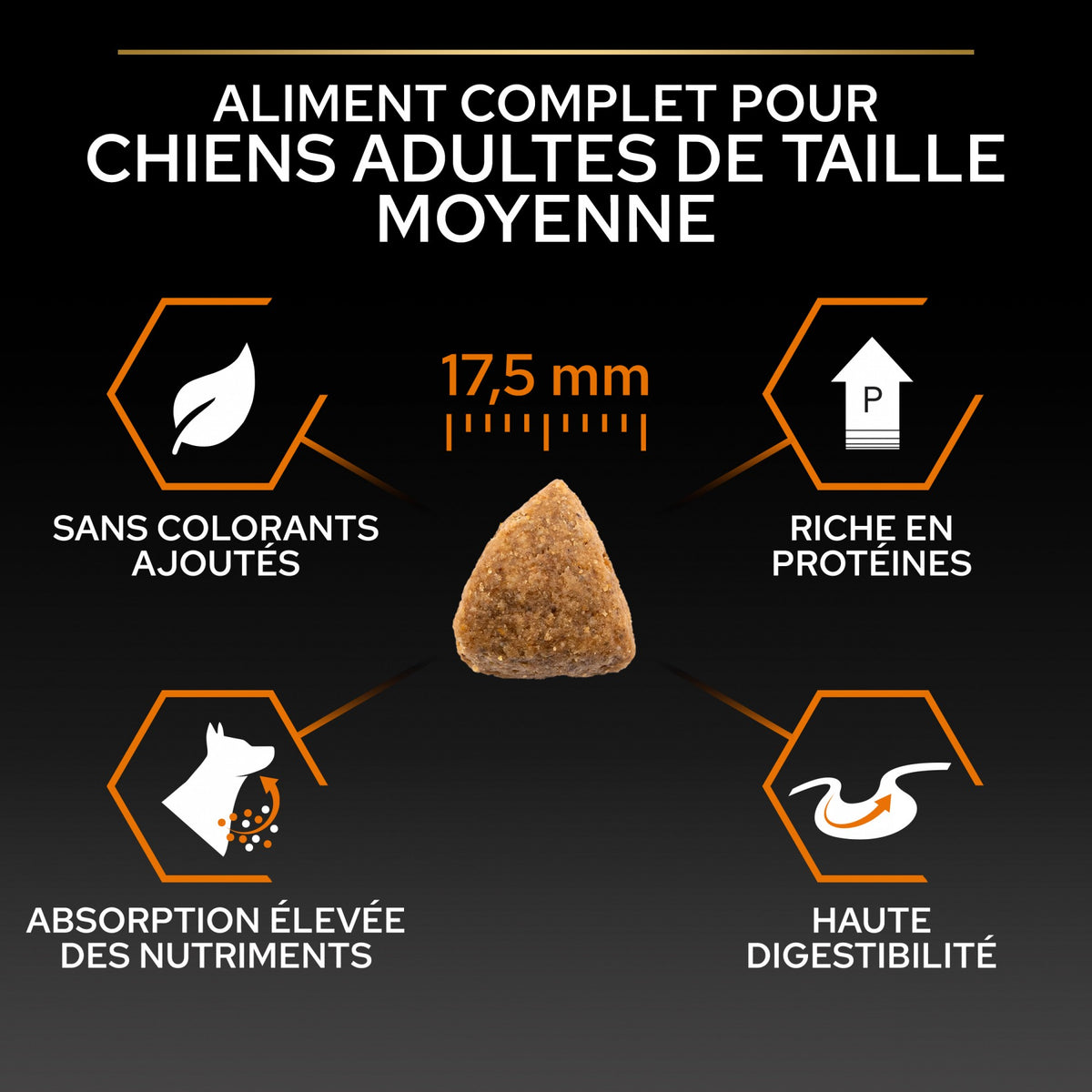 Pro Plan Everyday Nutrition Medium Adult au poulet - croquettes chien