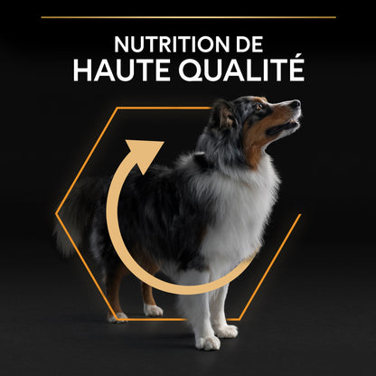 Pro Plan Everyday Nutrition Medium Adult au poulet - croquettes chien