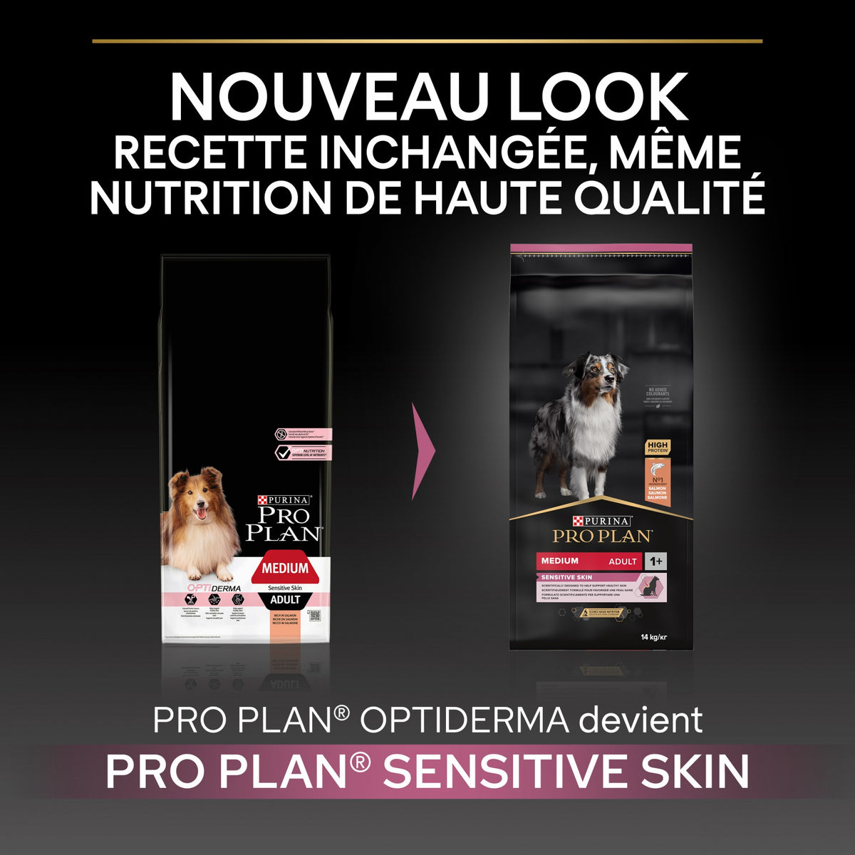 Pro Plan Sensitive Skin Medium Adult au saumon - croquettes chien