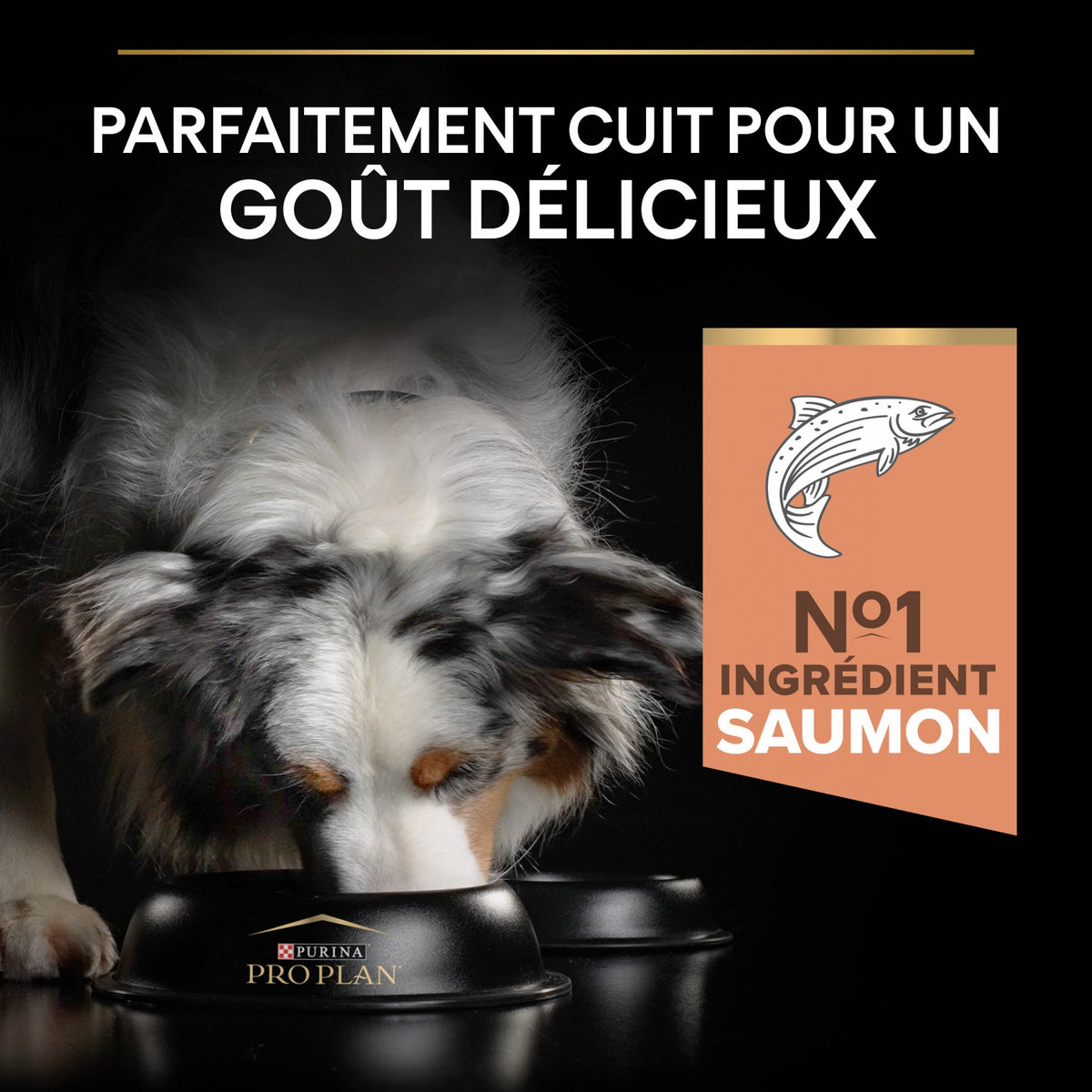 Pro Plan Sensitive Skin Medium Adult au saumon - croquettes chien