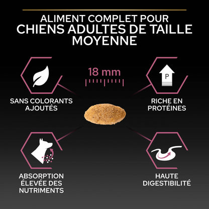 Pro Plan Sensitive Skin Medium Adult au saumon - croquettes chien