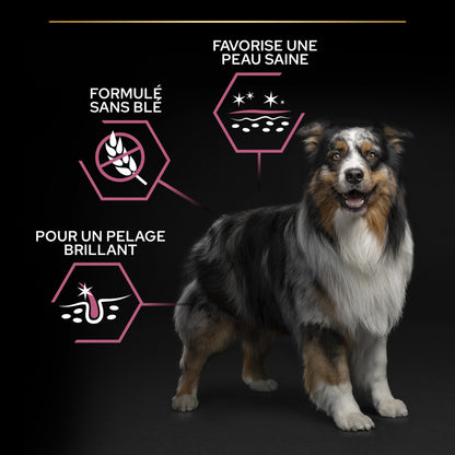 Pro Plan Sensitive Skin Medium &amp; Large Adult au saumon - croquettes chien