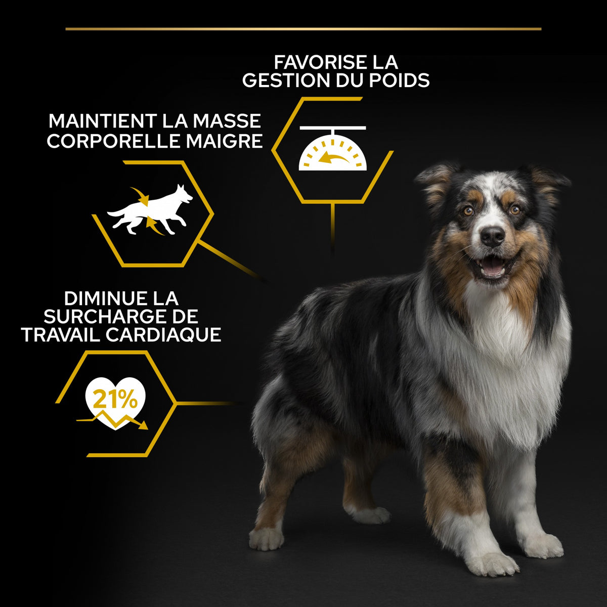 Pro Plan Light/Sterilised All Sizes Adult au poulet - croquettes chien