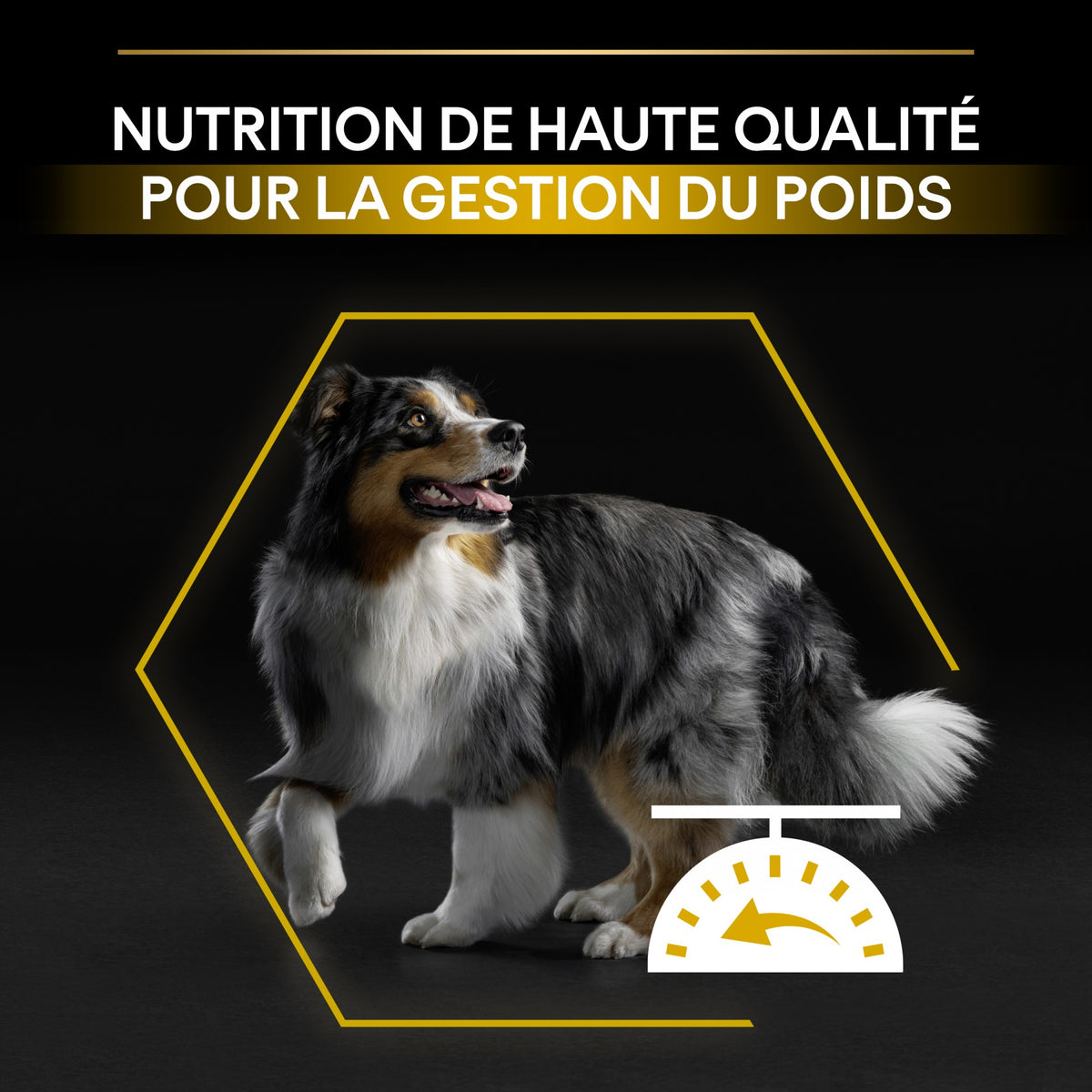 Pro Plan Light/Sterilised All Sizes Adult au poulet - croquettes chien