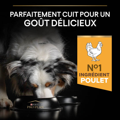 Pro Plan Age Defence Medium &amp; Large Adult au poulet - croquettes chien