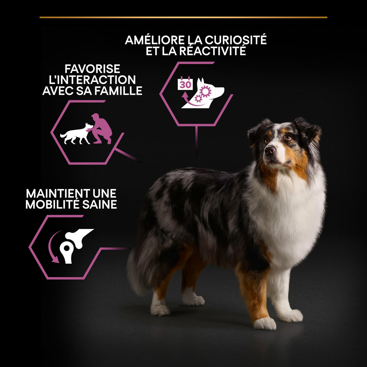 Pro Plan Age Defence Medium &amp; Large Adult au poulet - croquettes chien