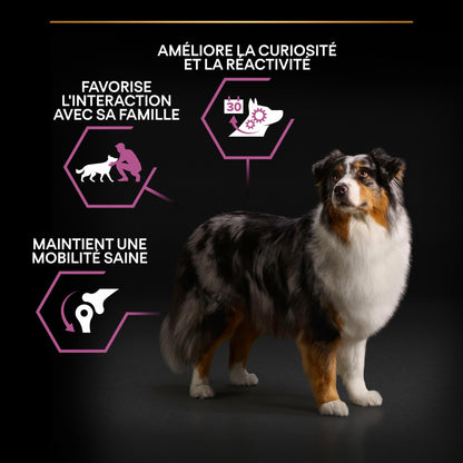 Pro Plan Age Defence Medium &amp; Large Adult au poulet - croquettes chien