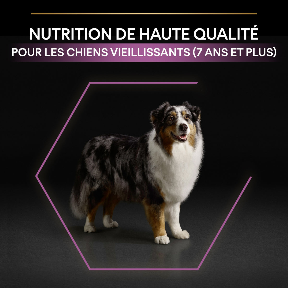 Pro Plan Age Defence Medium &amp; Large Adult au poulet - croquettes chien