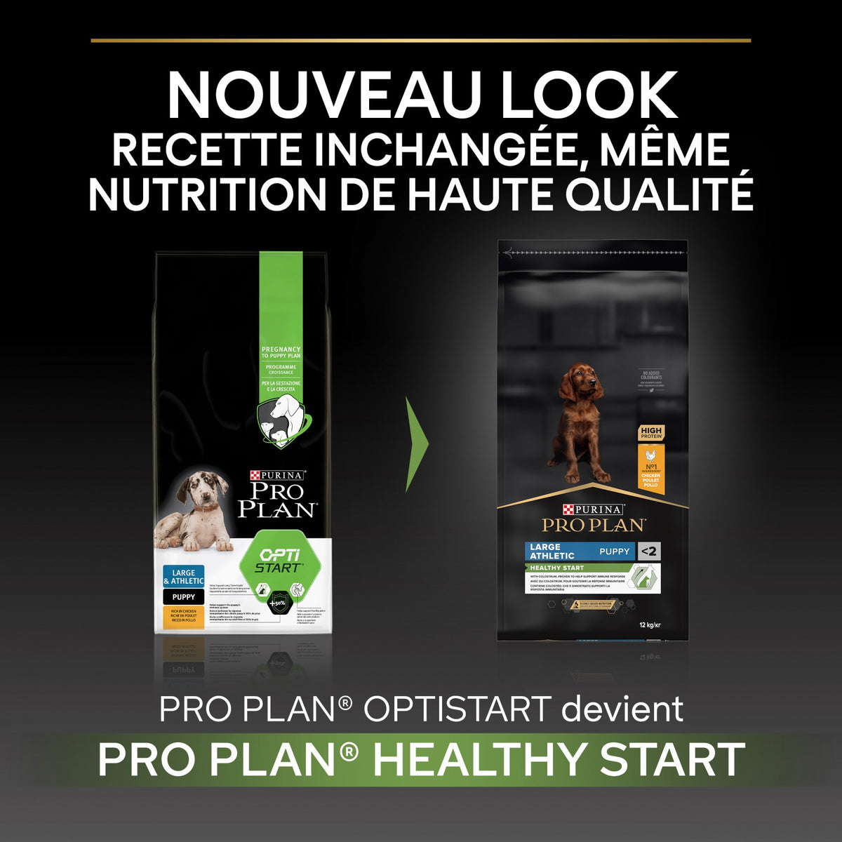 Pro Plan Healthy Start Large Athletic Puppy au poulet - croquettes chiot