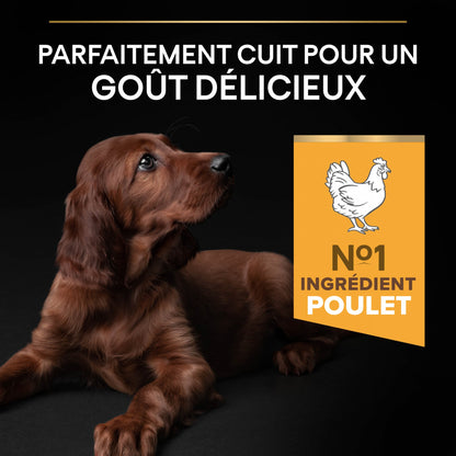 Pro Plan Healthy Start Large Athletic Puppy au poulet - croquettes chiot