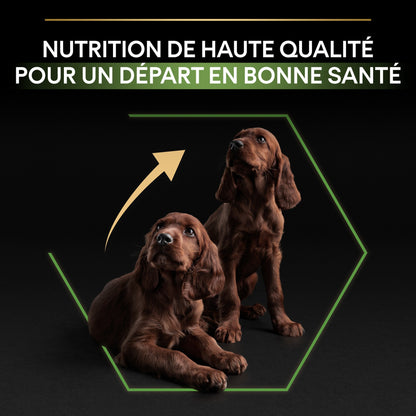 Pro Plan Healthy Start Large Athletic Puppy au poulet - croquettes chiot