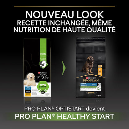 Pro Plan Healthy Start Large Robust Puppy au poulet - croquettes chiot