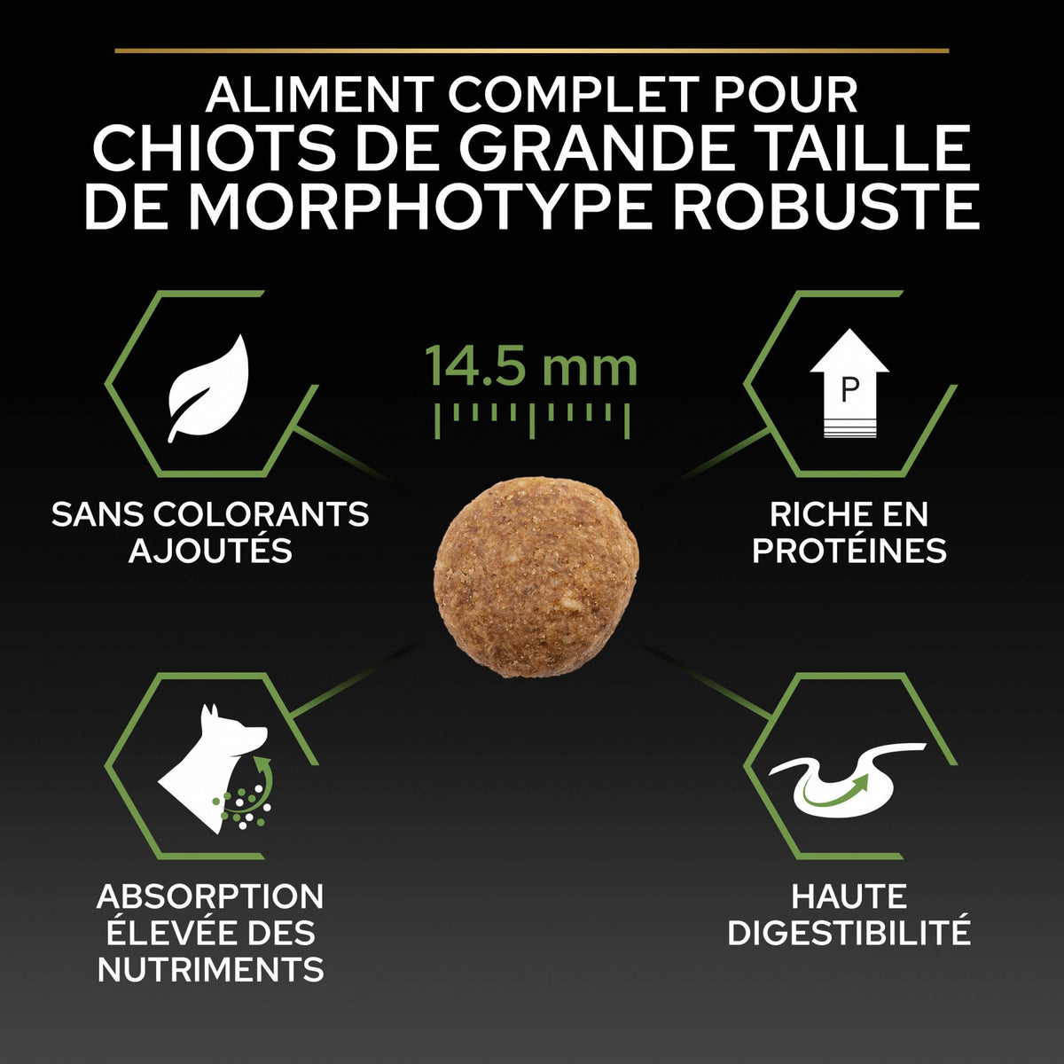 Pro Plan Healthy Start Large Robust Puppy au poulet - croquettes chiot