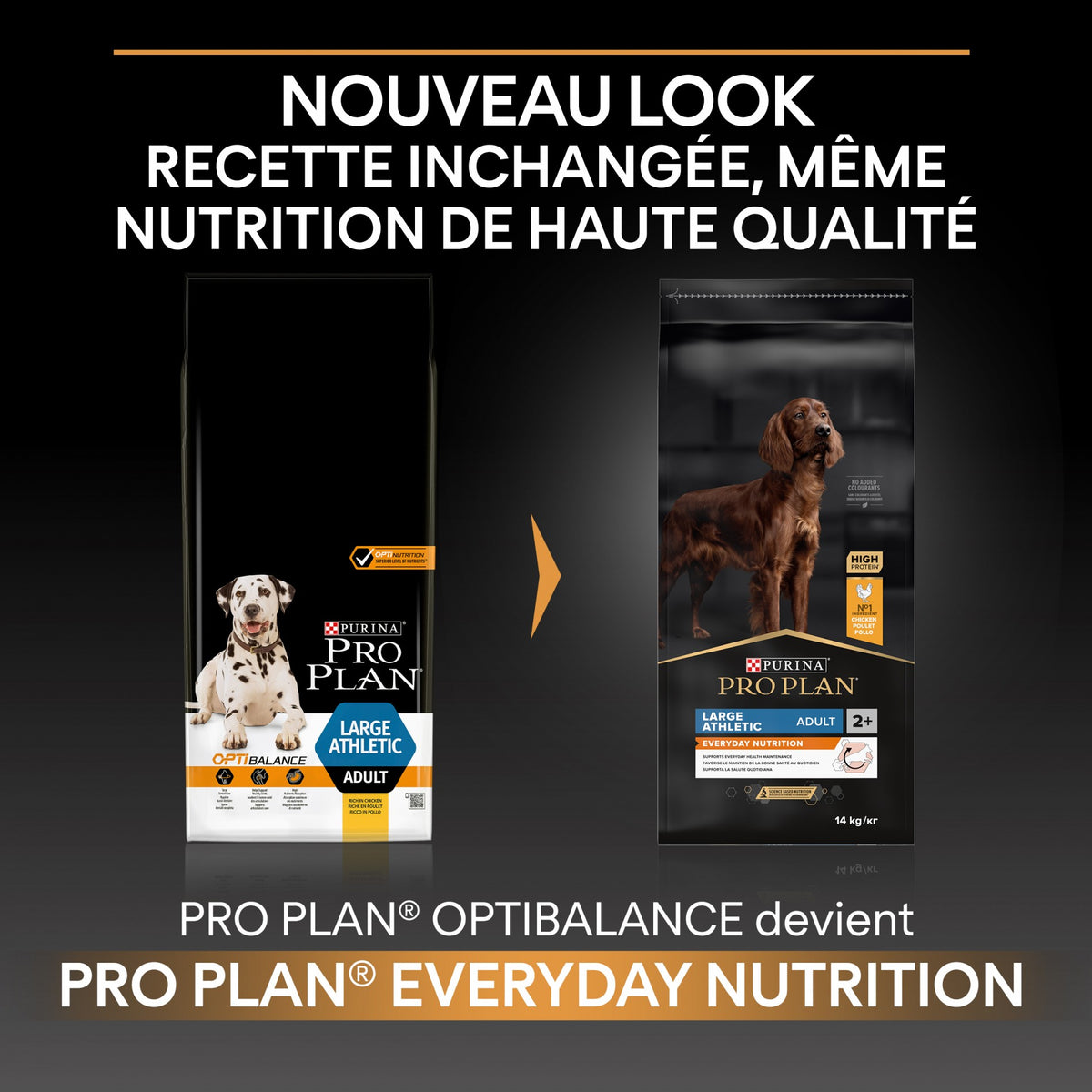 Pro Plan Everyday Nutrition Large Athletic Adult au poulet - croquettes chien