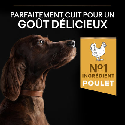 Pro Plan Everyday Nutrition Large Athletic Adult au poulet - croquettes chien