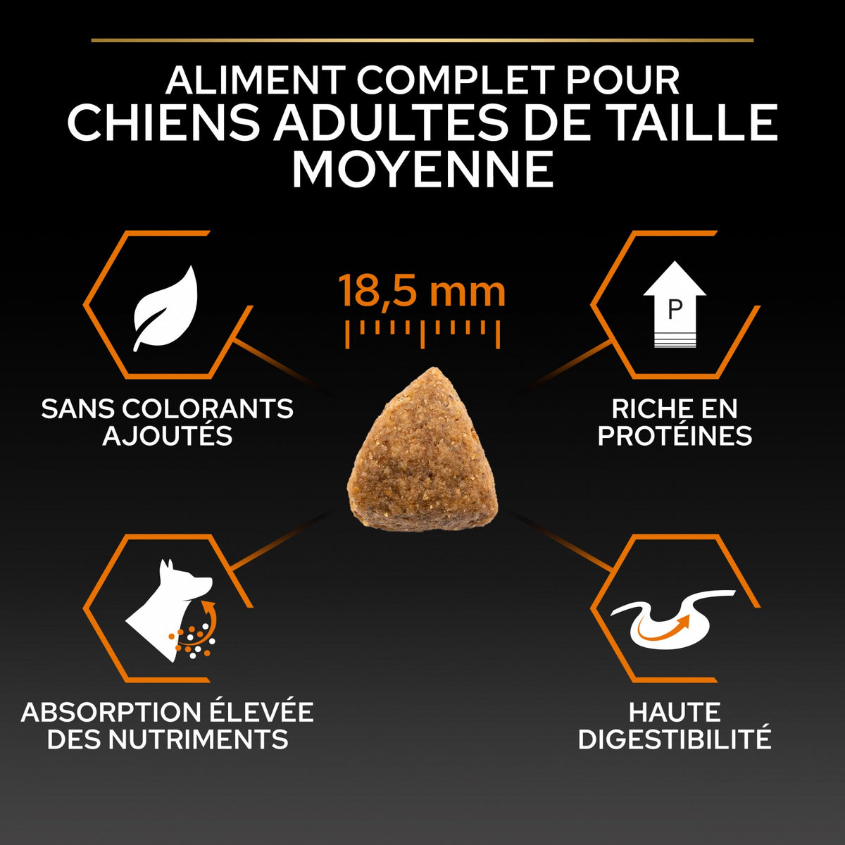 Pro Plan Everyday Nutrition Large Athletic Adult au poulet - croquettes chien