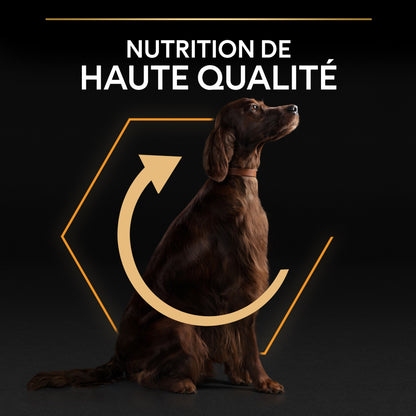 Pro Plan Everyday Nutrition Large Athletic Adult au poulet - croquettes chien