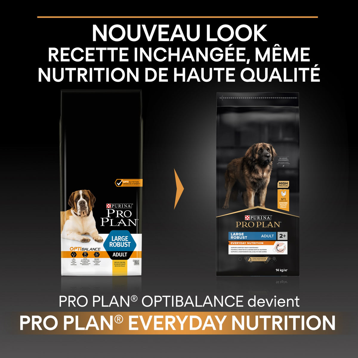 Pro Plan Everyday Nutrition Large Robust Adult au poulet - croquettes chien
