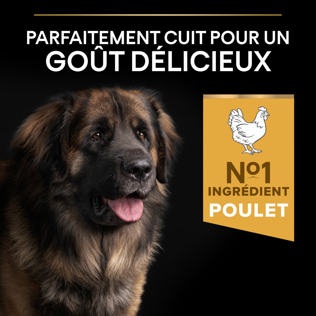 Pro Plan Everyday Nutrition Large Robust Adult au poulet - croquettes chien