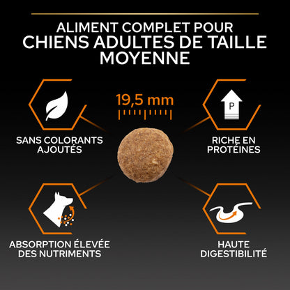 Pro Plan Everyday Nutrition Large Robust Adult au poulet - croquettes chien