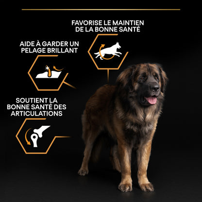 Pro Plan Everyday Nutrition Large Robust Adult au poulet - croquettes chien