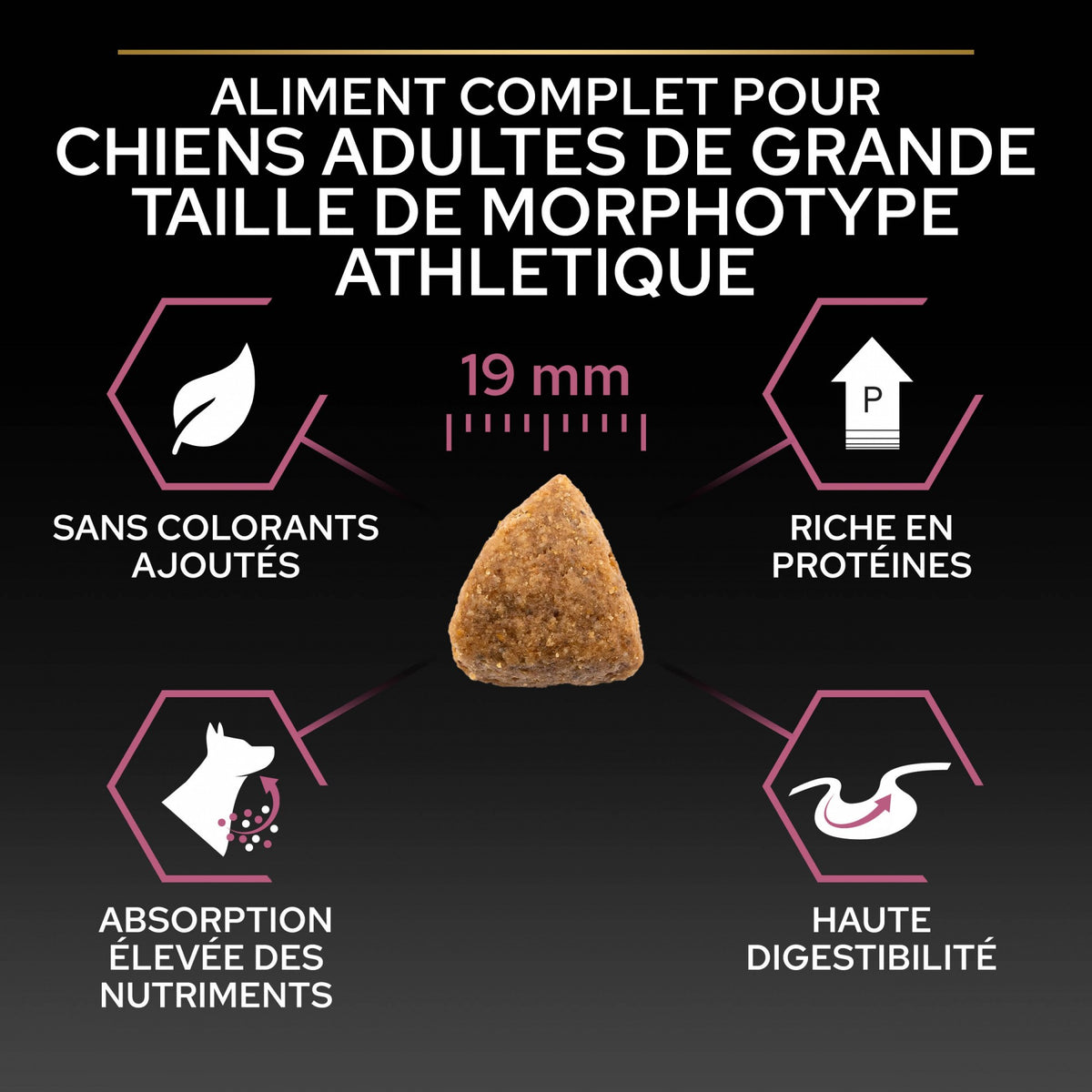 Pro Plan Sensitive Skin Large Athletic Adult au saumon - croquettes chien
