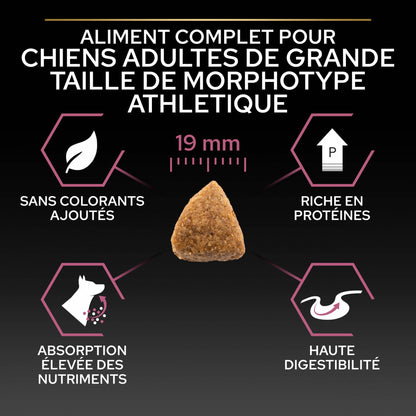 Pro Plan Sensitive Skin Large Athletic Adult au saumon - croquettes chien