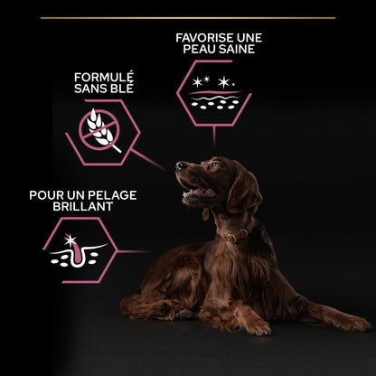 Pro Plan Sensitive Skin Large Athletic Adult au saumon - croquettes chien