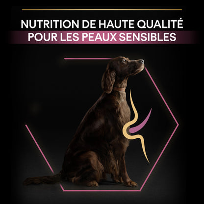 Pro Plan Sensitive Skin Large Athletic Adult au saumon - croquettes chien