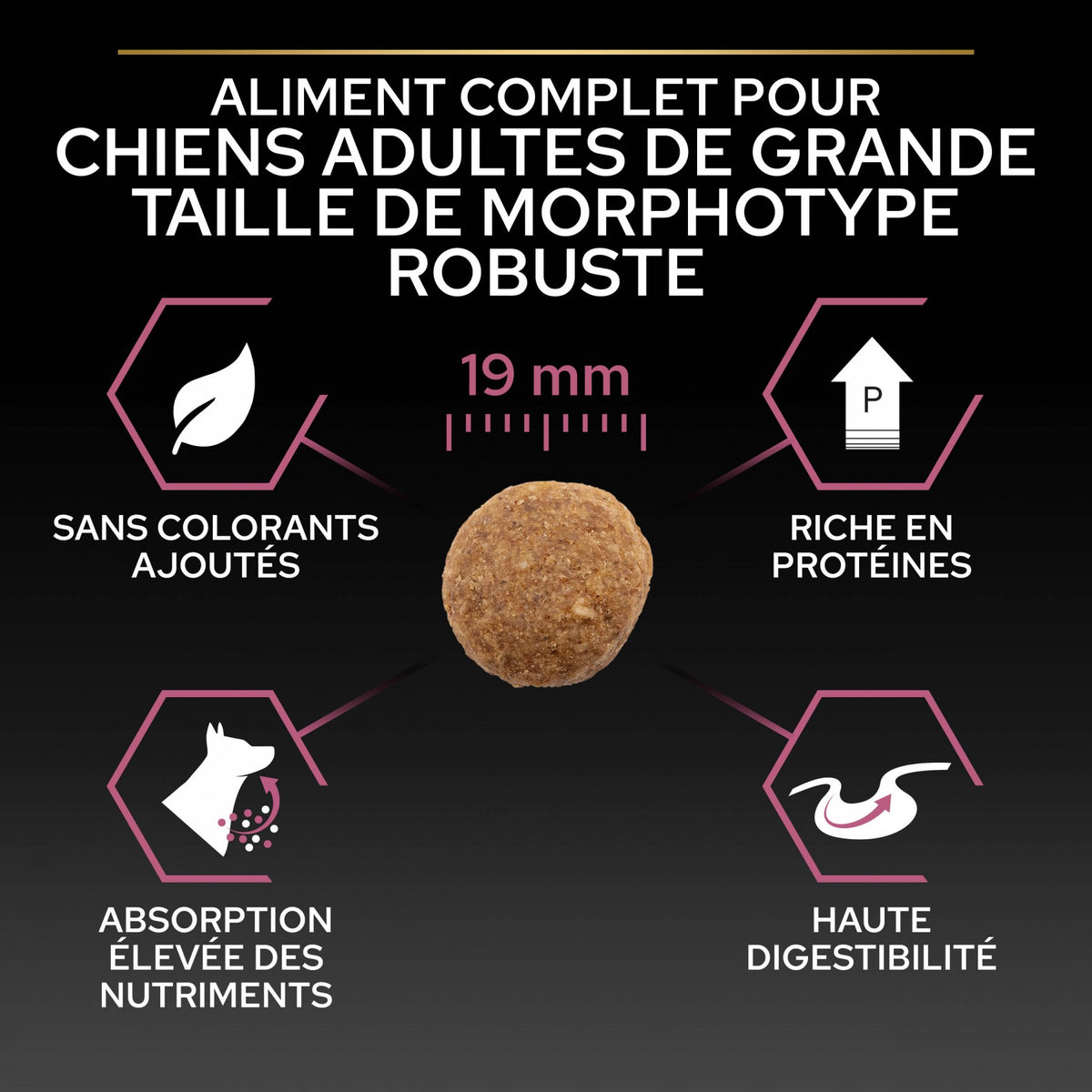 Pro Plan Sensitive Skin Large Robust Adult au saumon - croquettes chien