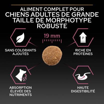 Pro Plan Sensitive Skin Large Robust Adult au saumon - croquettes chien