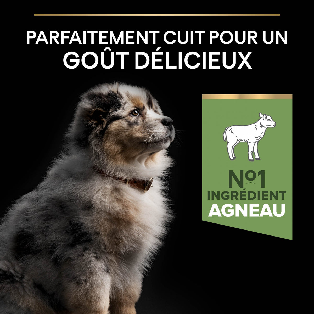 Pro Plan Sensitive Digestion Medium Puppy à l&