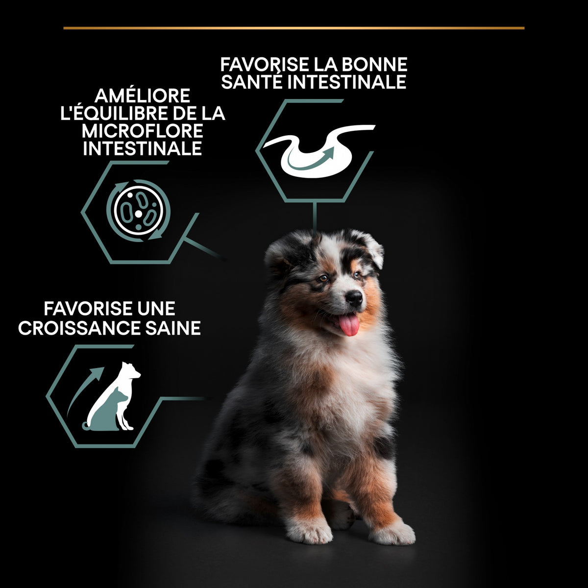 Pro Plan Sensitive Digestion Medium Puppy à l&
