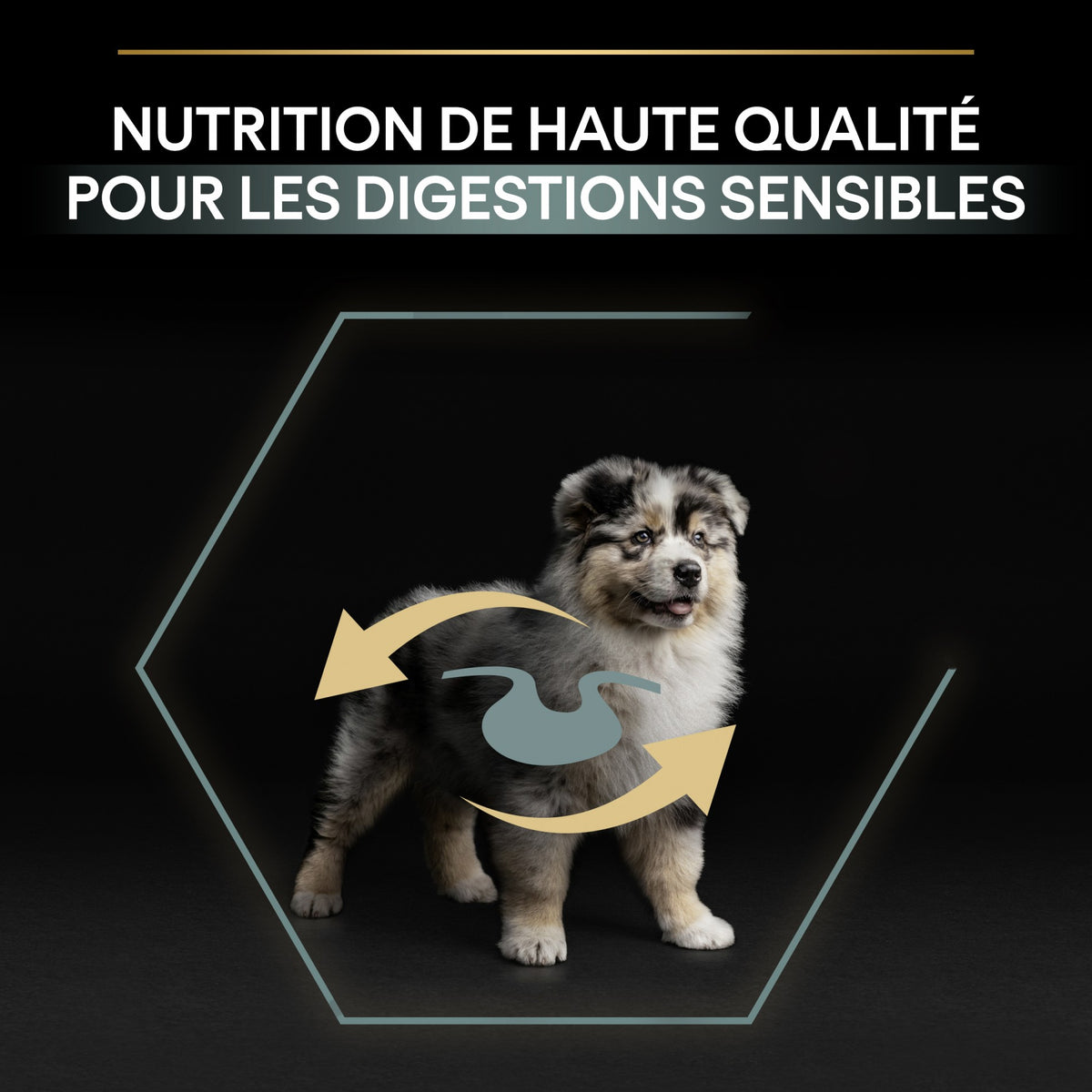 Pro Plan Sensitive Digestion Medium Puppy à l&