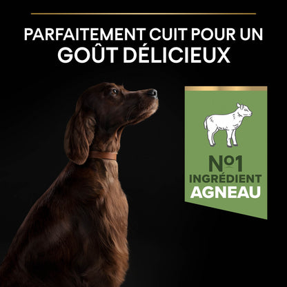 Pro Plan Sensitive Digestion Large Athletic Adult à l&