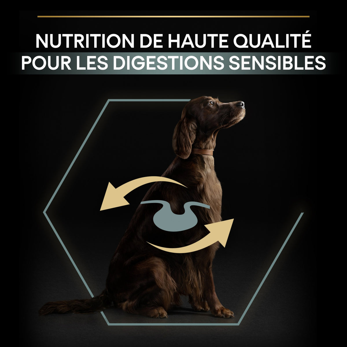 Pro Plan Sensitive Digestion Large Athletic Adult à l&