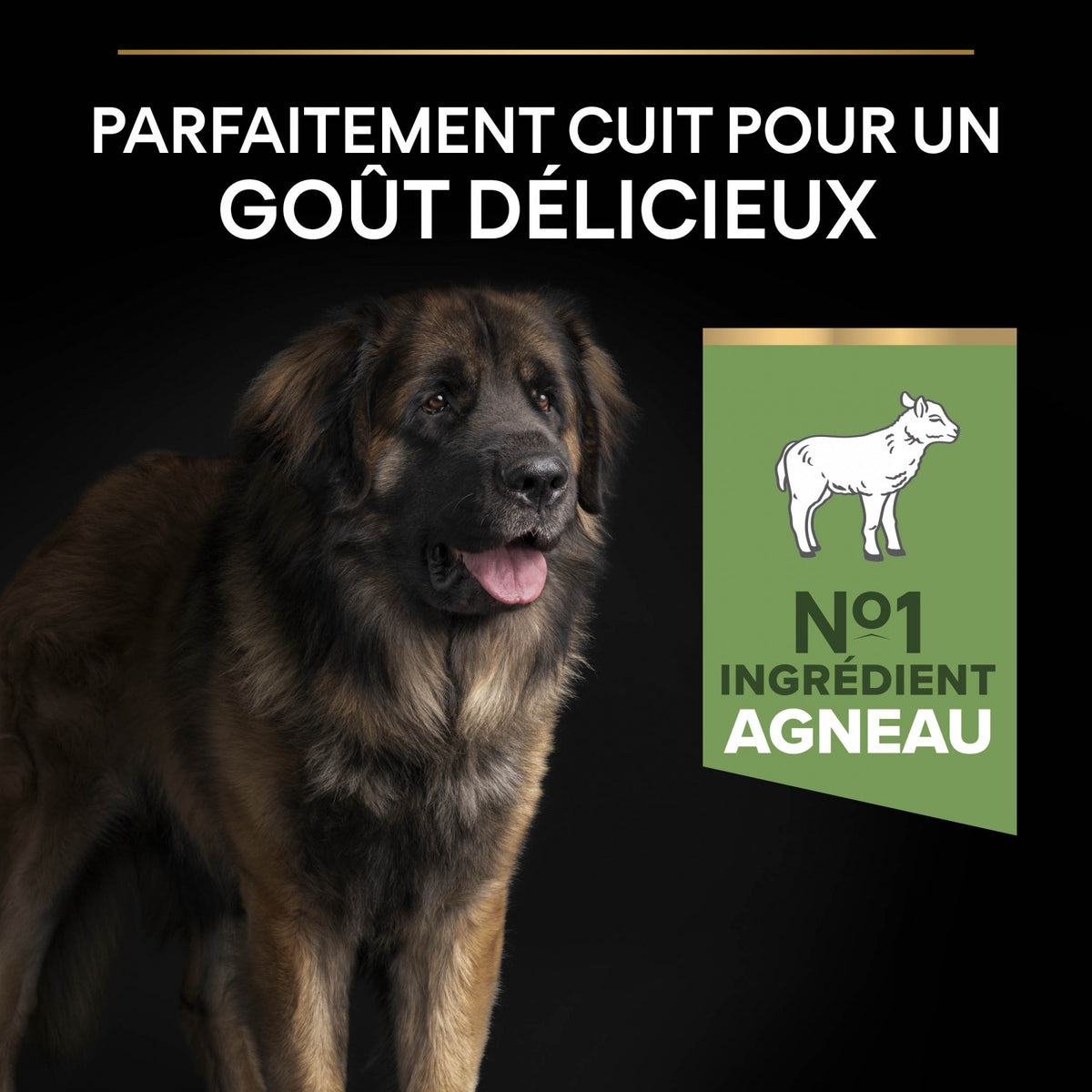 Pro Plan Sensitive Digestion Large Robust Adult à l&